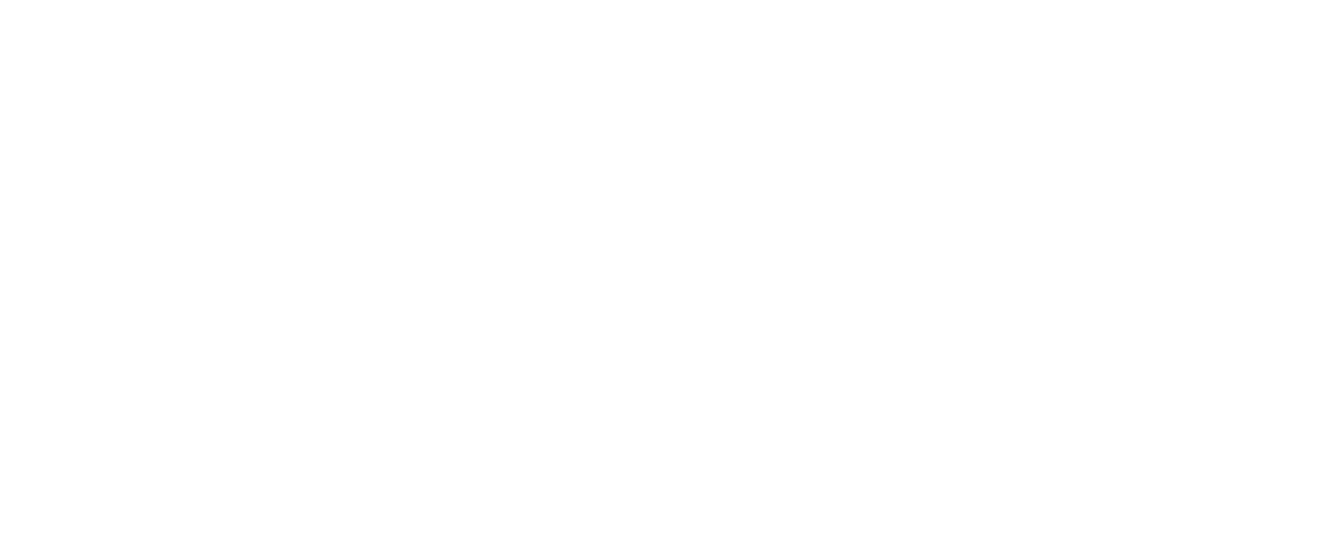 Deniz Aral